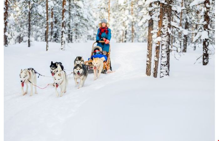 Kış Tatilinde Lapland’e Gitmeniz İçin 12 Neden!